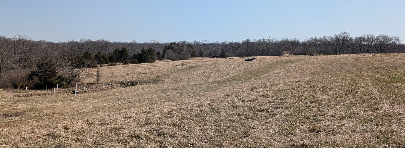 Field at Gans Creek Rec area