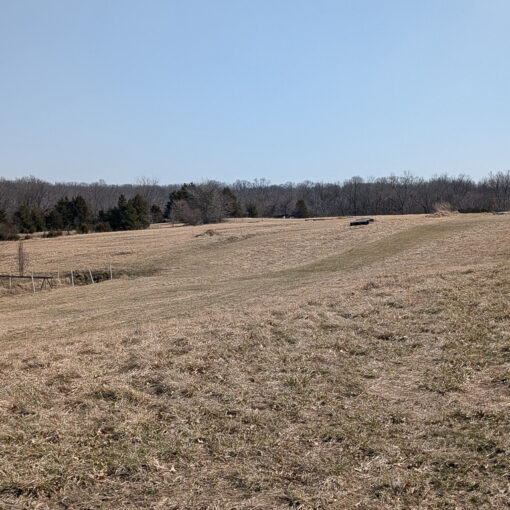Field at Gans Creek Rec area