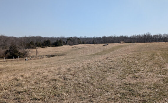 Field at Gans Creek Rec area